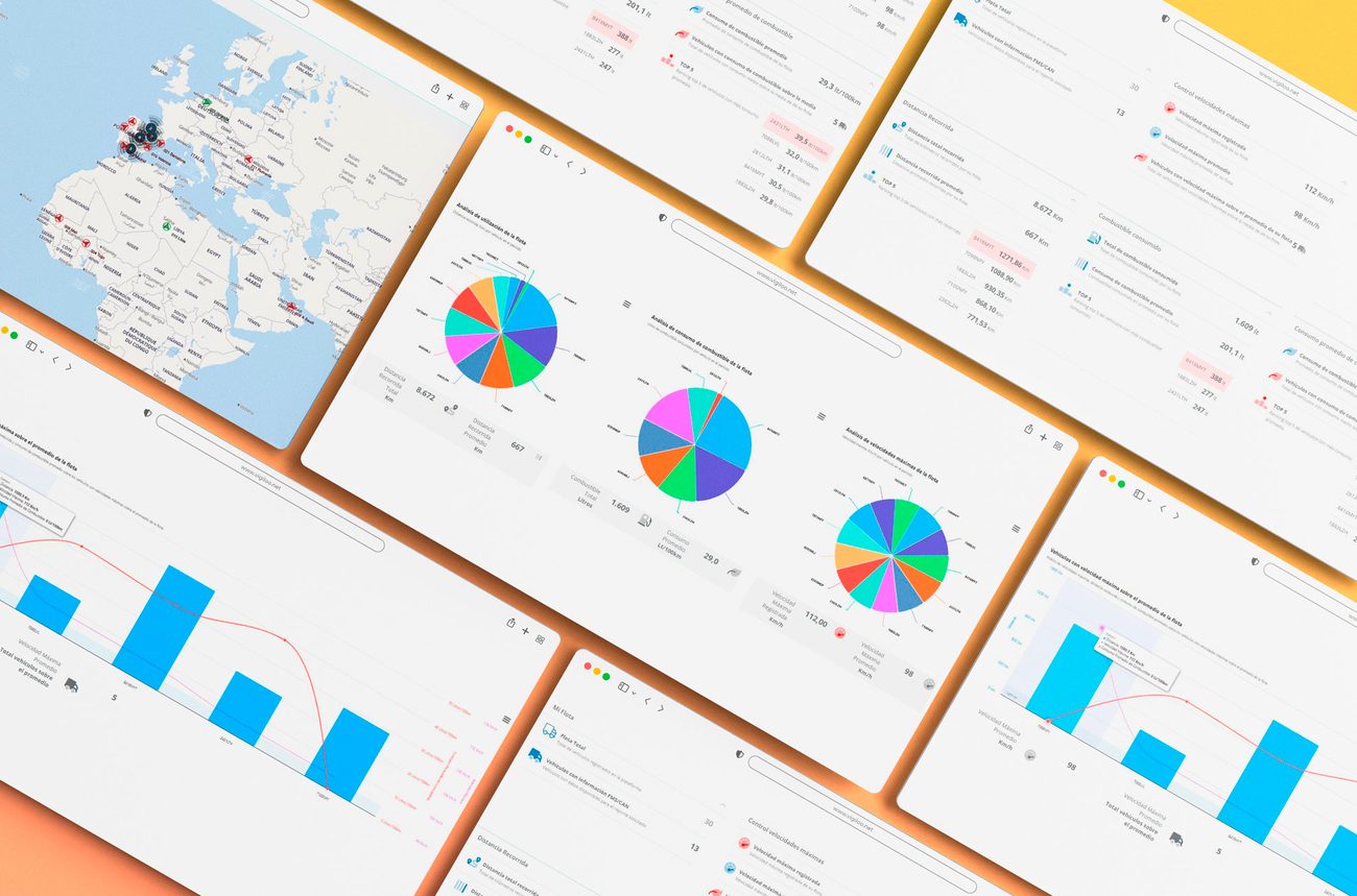 Analytical fleet reports with activity and fuel consumption charts