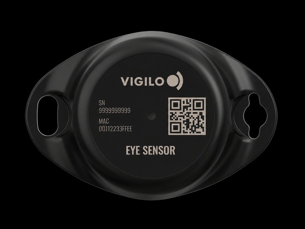 Sensor Padrão